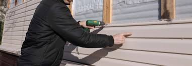 Best Storm Damage Siding Repair  in Ashton, ID